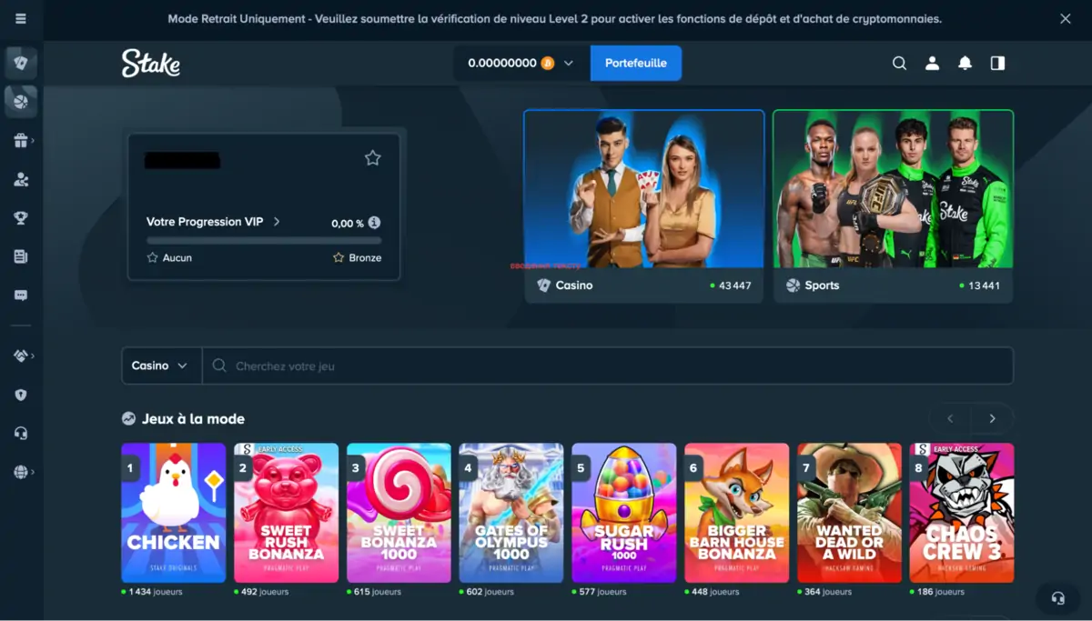 Stake Casino