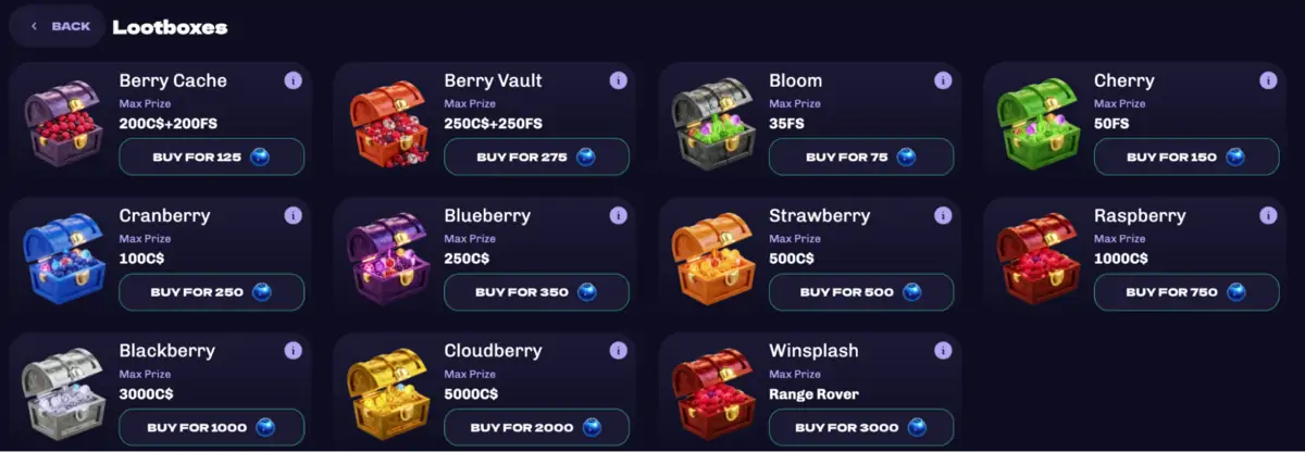 Le magasin de Winberry